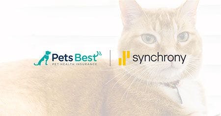 veterinary-carecredit-synchrony-petsbest-acquisition-450.jpg