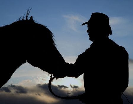 veterinary-a-cowboy-touching-the-head-of-his-horse-in-the-sunset-shutterstock-50421511_450.jpg