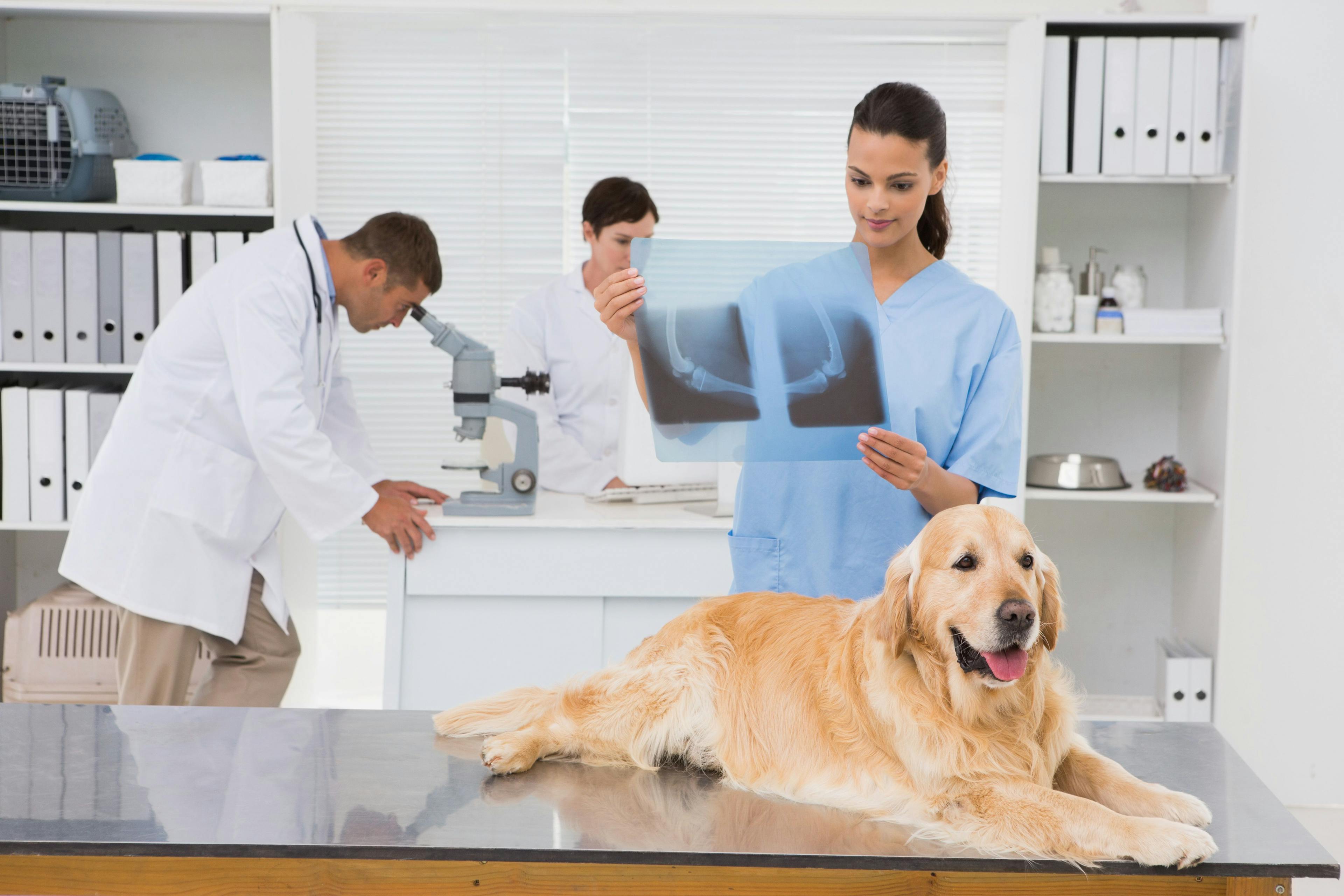 Trupanion partners with MCVMA to support veterinary professionals