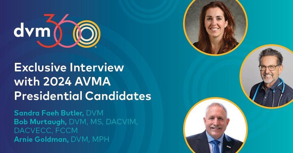 AVMA presidential candidate: Sandra Faeh Butler, DVM