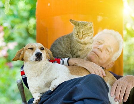 veterinary-senior-man-with-pets-main.jpg