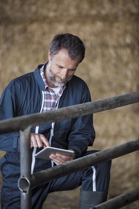veterinary-attractive-farmer-using-a-digital-tablet-450px-shutterstock-621656846.jpg