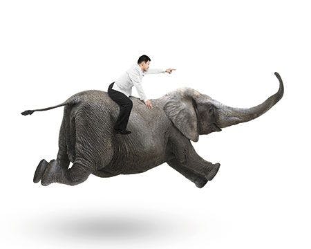 veterinary-businessman-with-pointing-finger-gesture-riding-on-elephant-450px-shutterstock-297864332.jpg