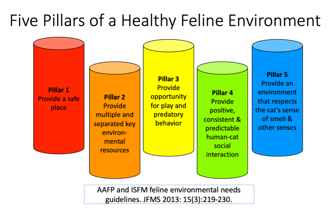 Figure 2. The 5 pillars of a healthy feline environment provide a framework from which to evaluate for and correct deficiencies in the environment. The 5 pillars represent every domestic cat’s essential environmental needs and should not be confused with enrichment.