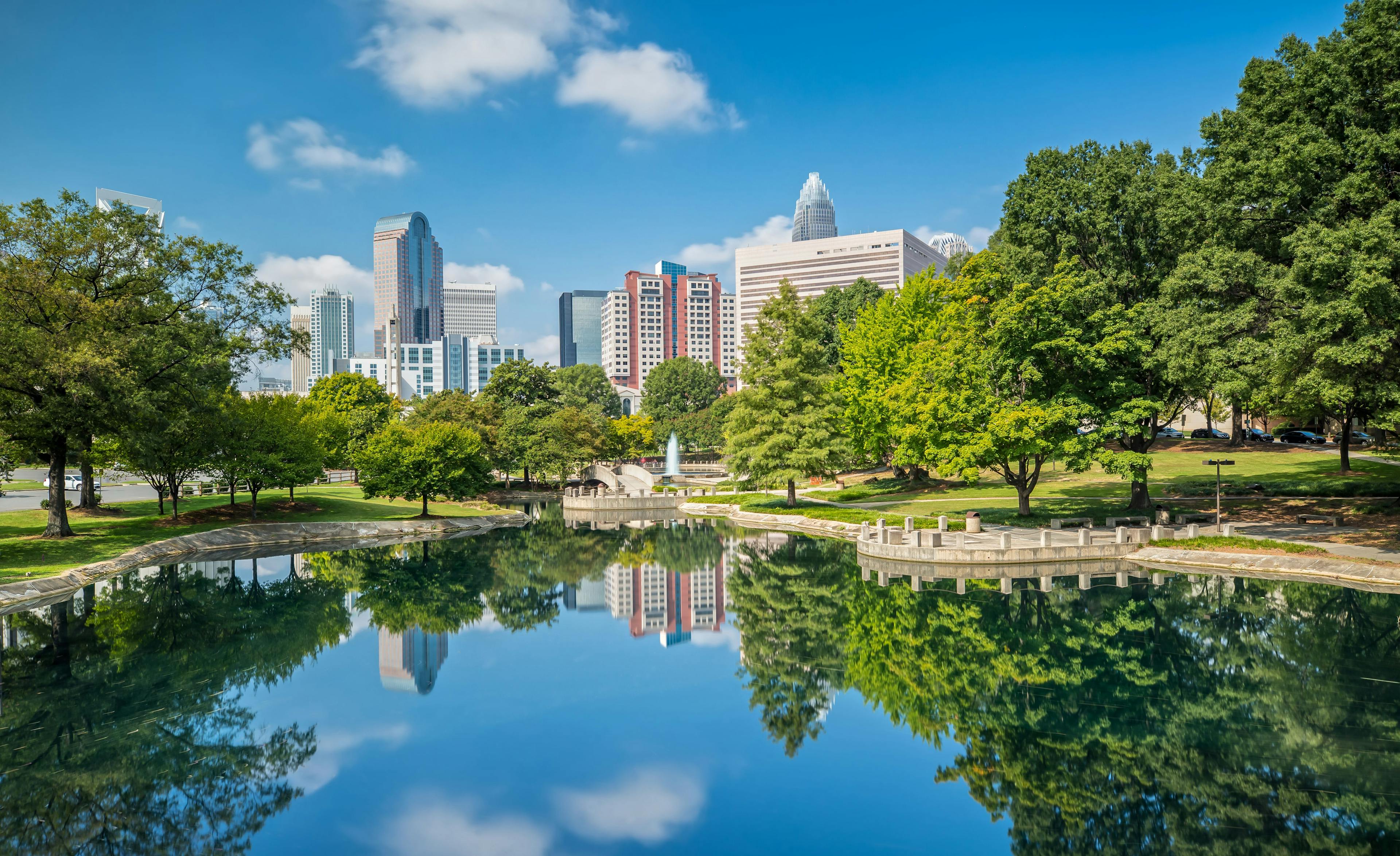 Kick off 2024 with a Fetch dvm360® conference in Charlotte