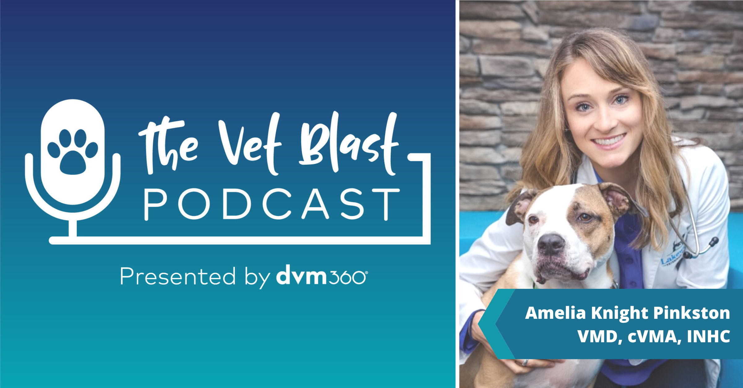 The Vet Blast Podcast with Kelly Cairns