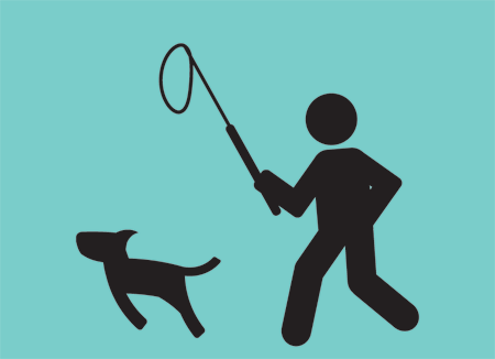 veterinary-dog-illustration-shutterstock-302958614_450px.gif