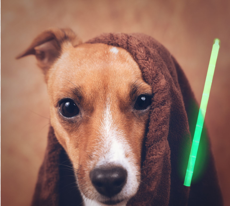 What Luke Skywalker has to do with veterinary practice marketing