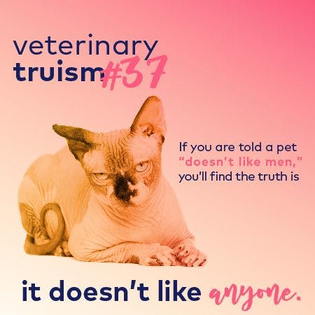 veterinary_truisms_web-01.jpg