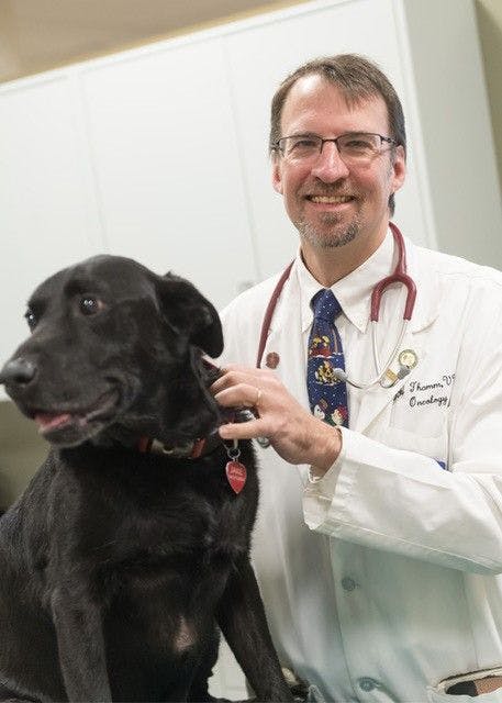 Douglas Thamm, VMD, DACVIM (Oncology). (Photo courtesy of The Kennel Club)