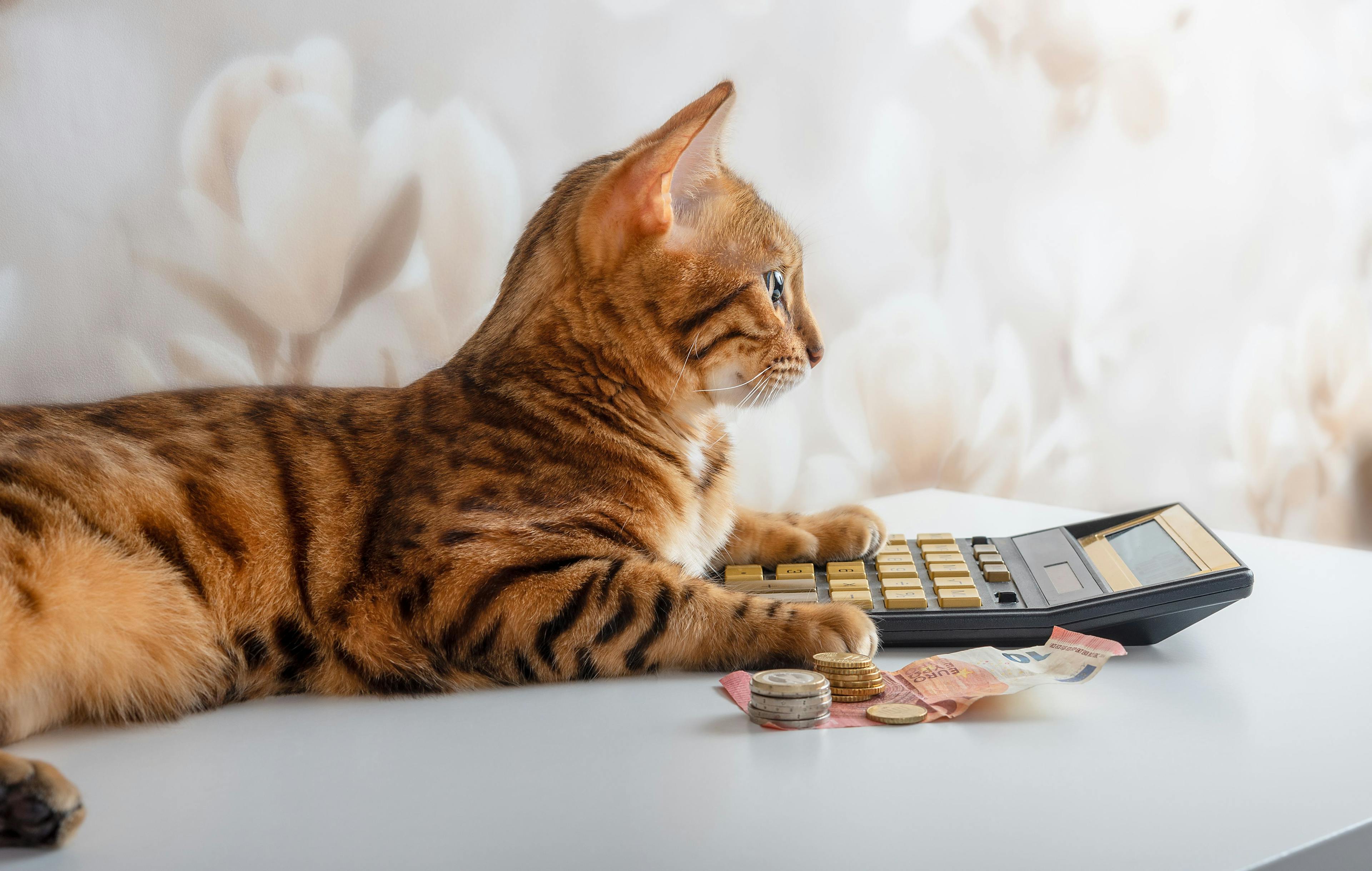 Pet insurance company releases savings calculator